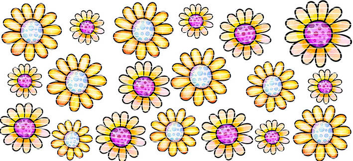 16oz Element-EN-1293